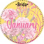 Group logo of Topic of the Month January