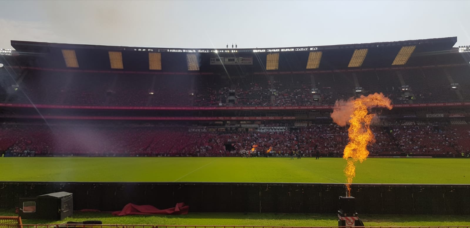 Lions Rugby Fans
